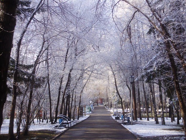 А мы не ждали снега..../Nice shot winter