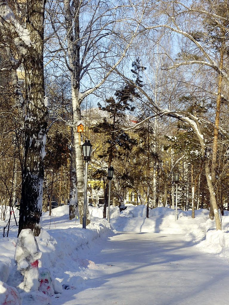 Зима в парке2