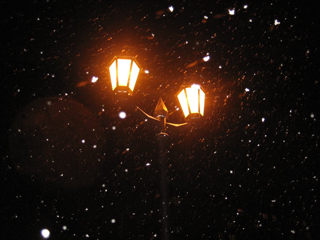 "Ночь, улица, фонарь..." / Streetlight in the Night...