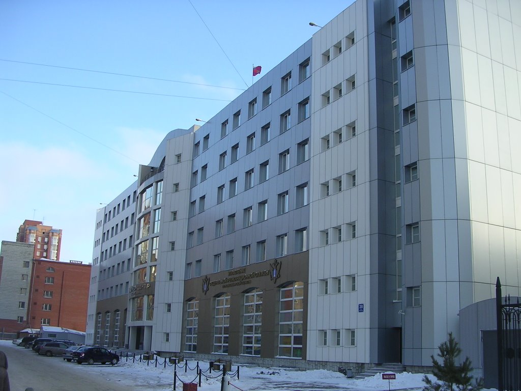 Новосибирск. Державина, 28