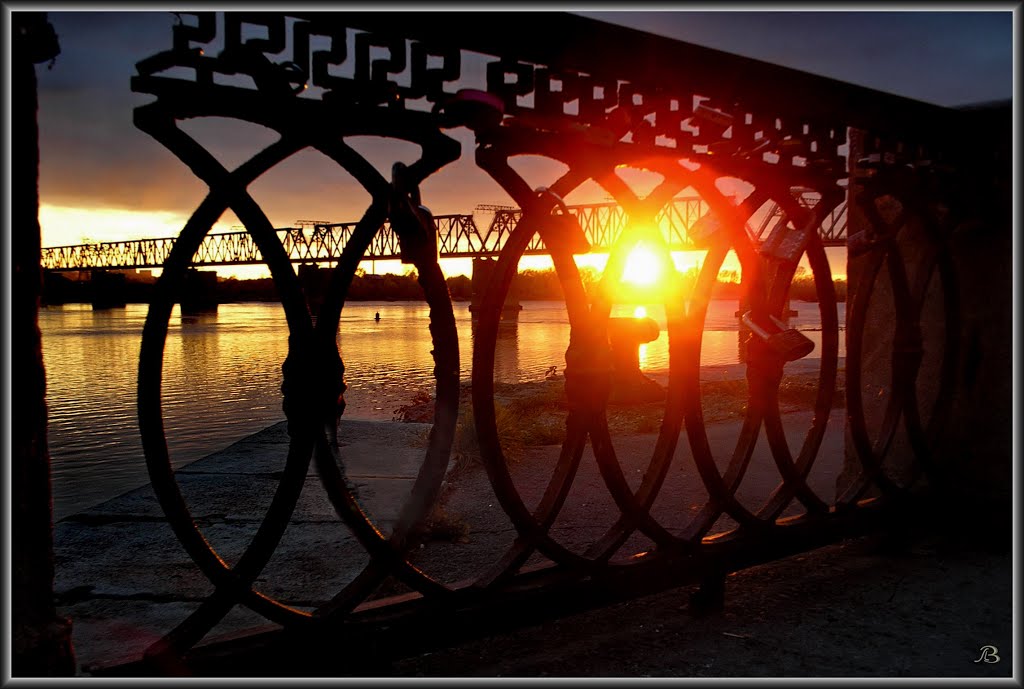 Sunset + Fense  Закат + решётка