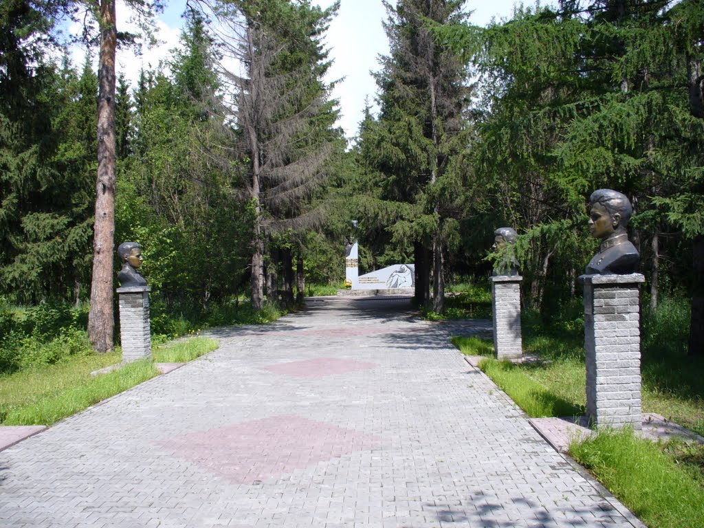 Середина аллеи
