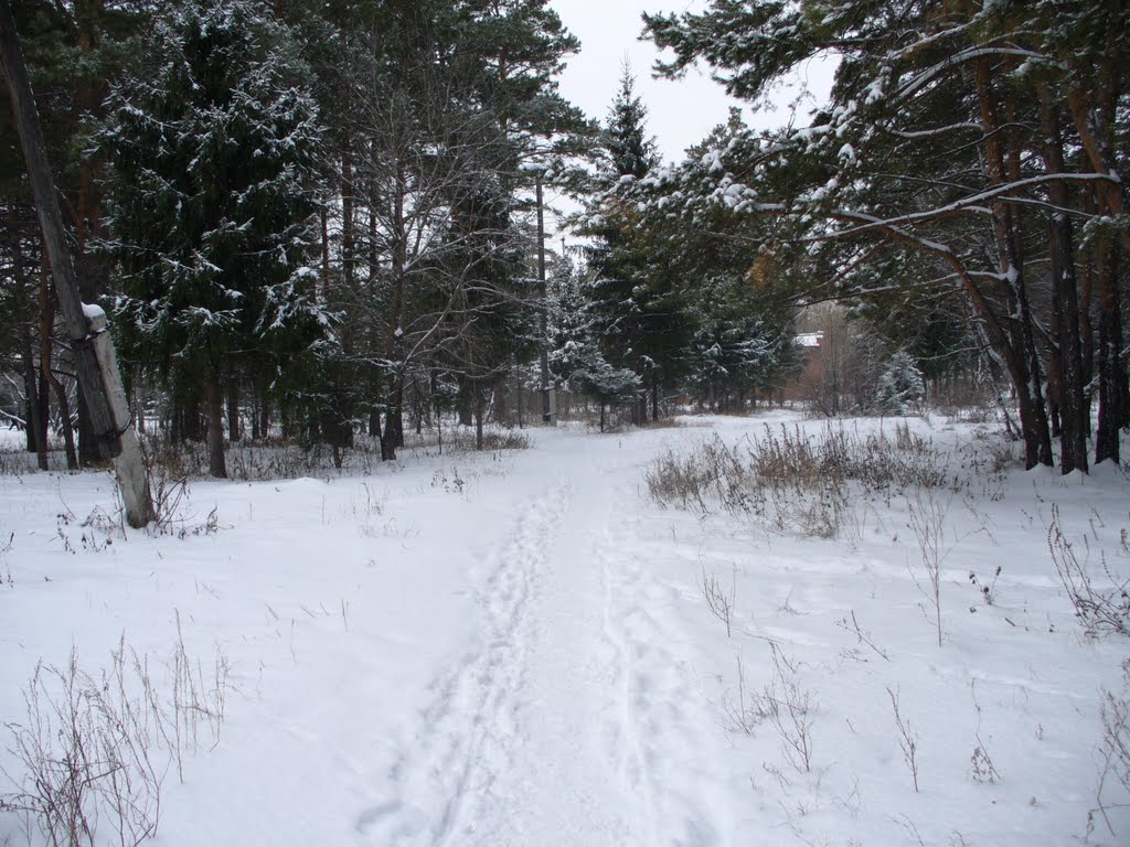 Тропинка
