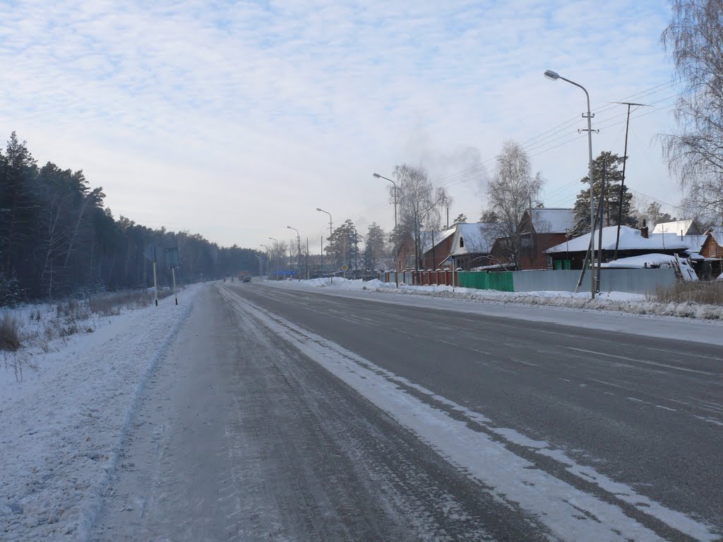 Трасса Новосибирск-Камень2