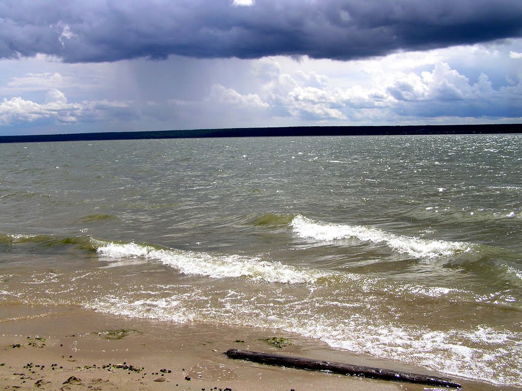 Перед дождем (Обское море, Ордынское, Новосибирская область)