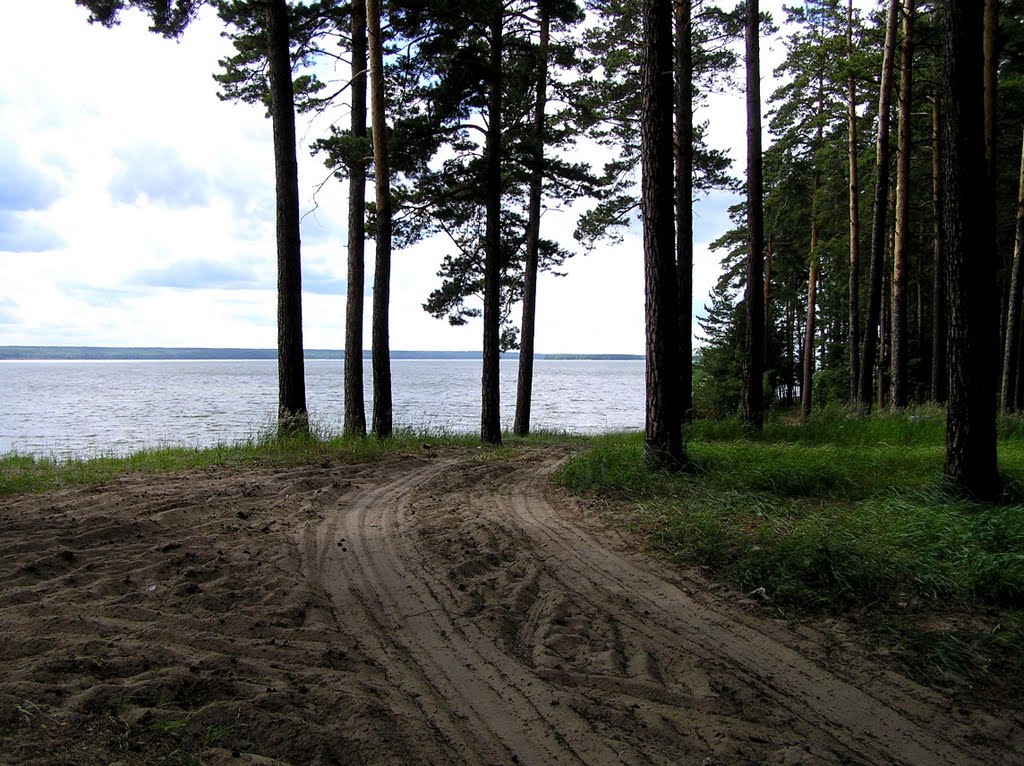 Вдоль берега (Обское море, Ордынское, Новосибирская область)