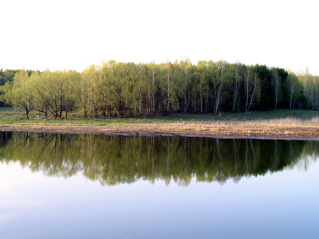 р. Орда, весна (Ордынское, Новосибирская область)