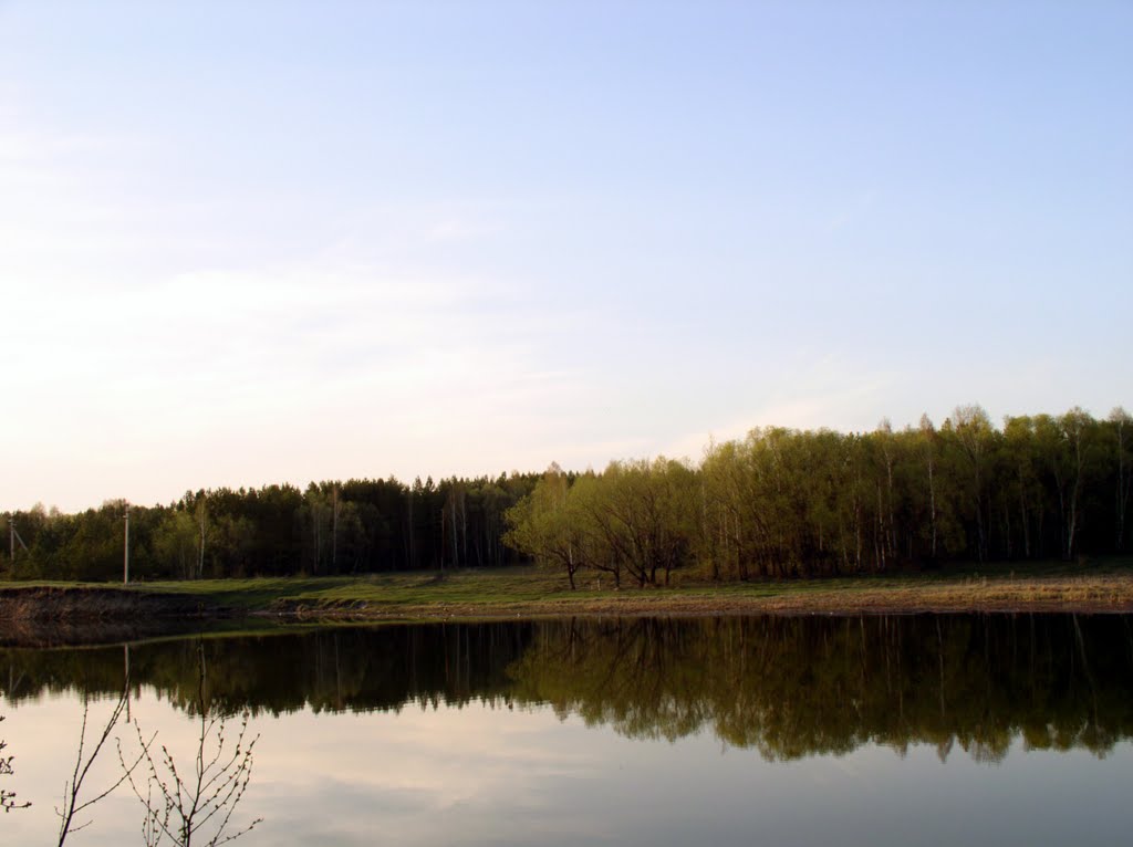 р. Орда, левый берег (Ордынское, Новосибирская область)
