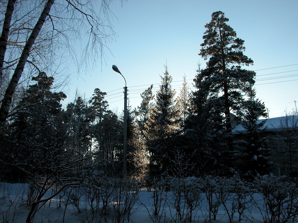 зимний полдень