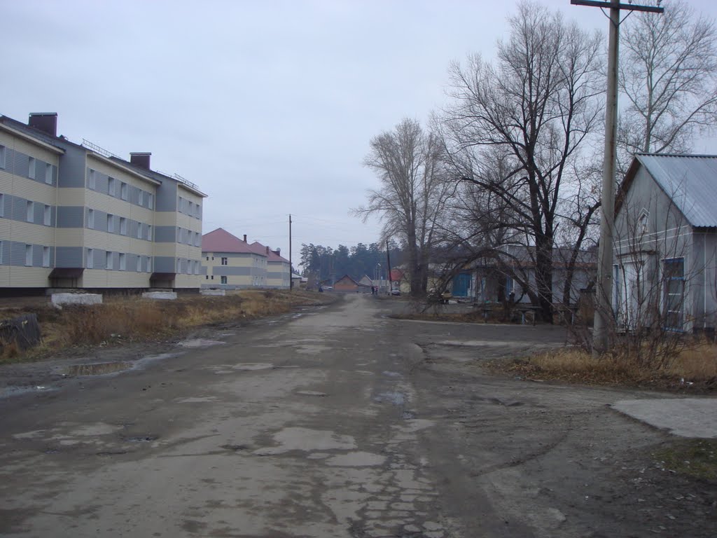 пгт.Сузун. ул.Линейная