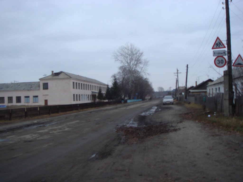пгт.Сузун. ул.Молодёжная