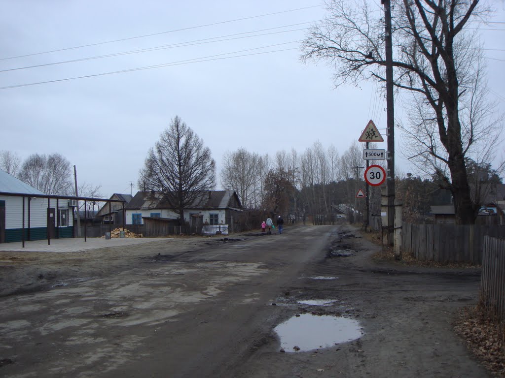 пгт.Сузун. ул.Строительная