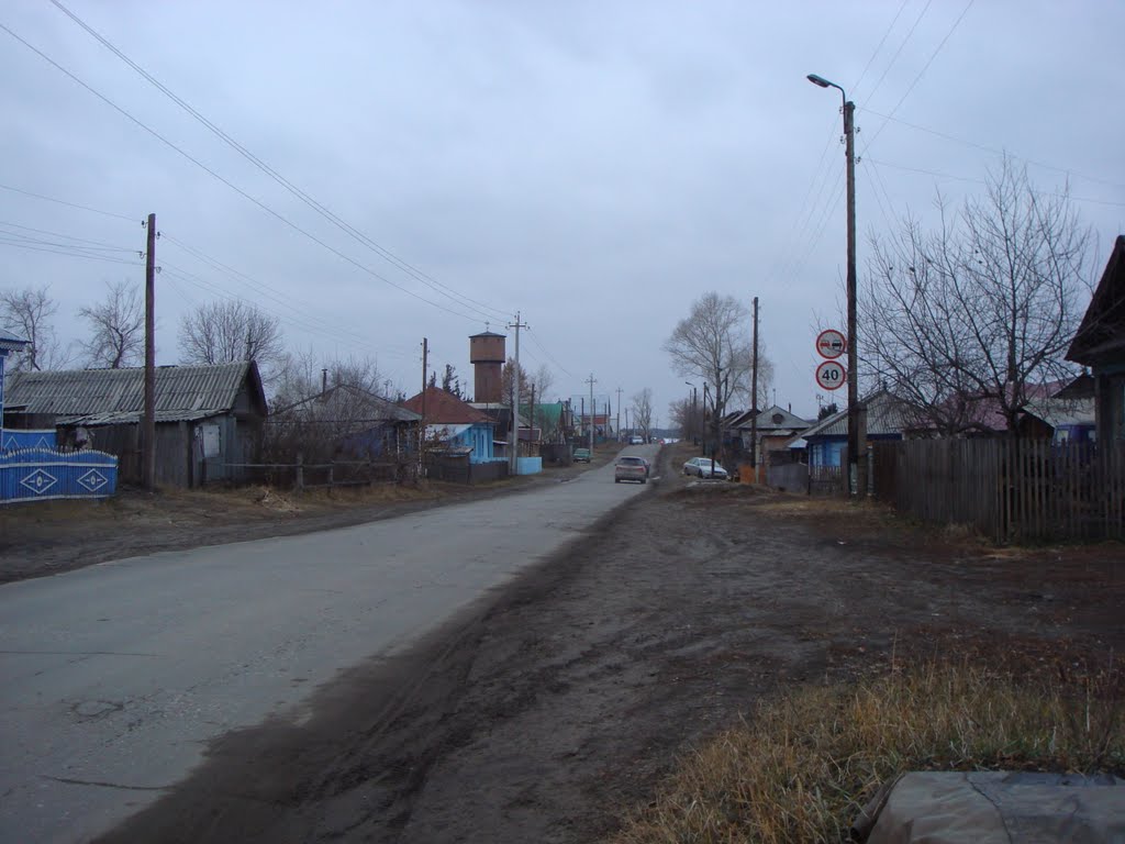 пгт.Сузун. ул.Ломоносова