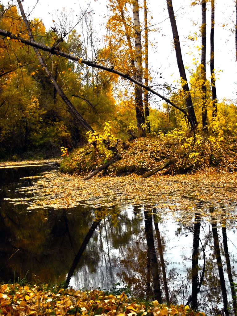 Рядом (Nearby)