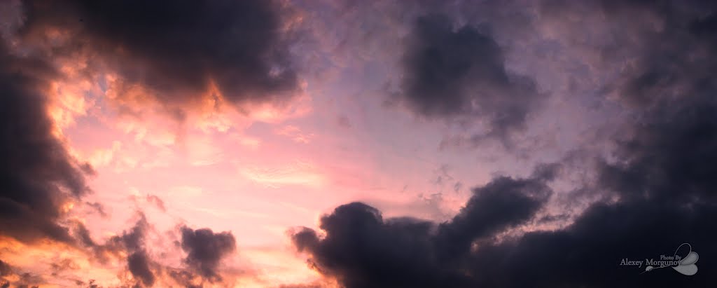 Охота на закат (The hunt for the sunset)