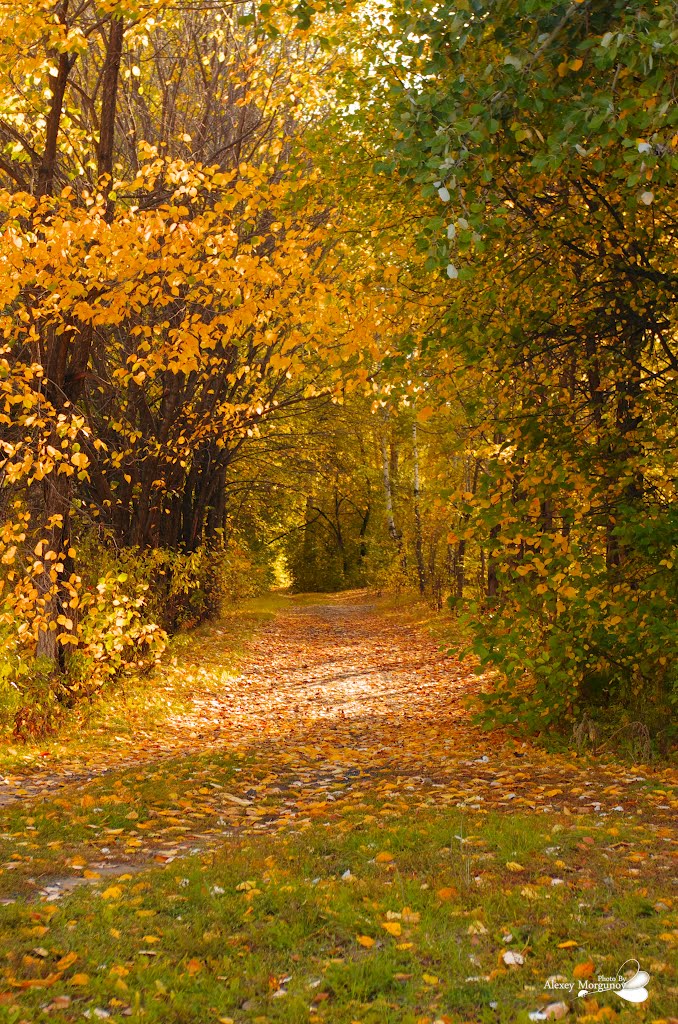 Прогулка по тропкам детства (Walk down the path of childhood)