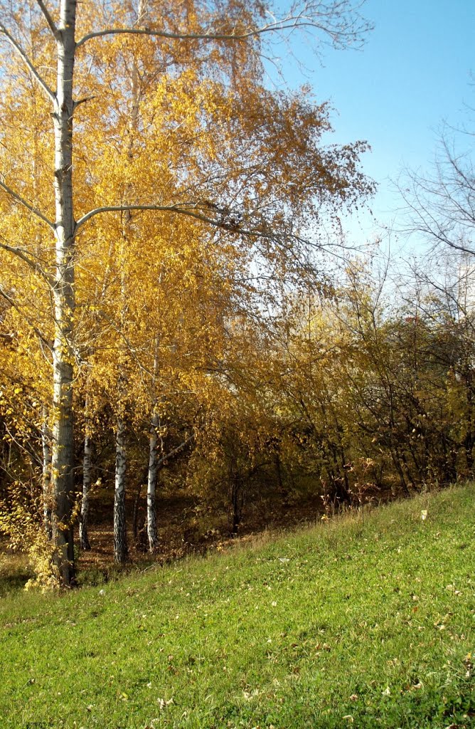 Осень - Поляна любви (Autumn - Fields of love)