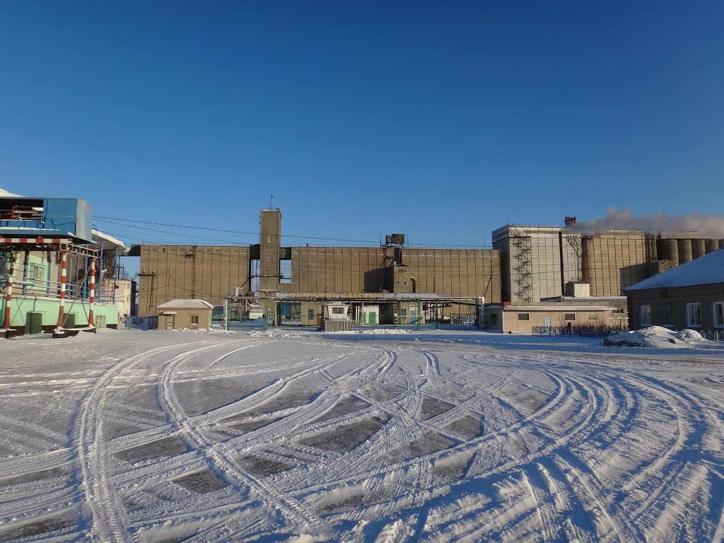 Элеватор