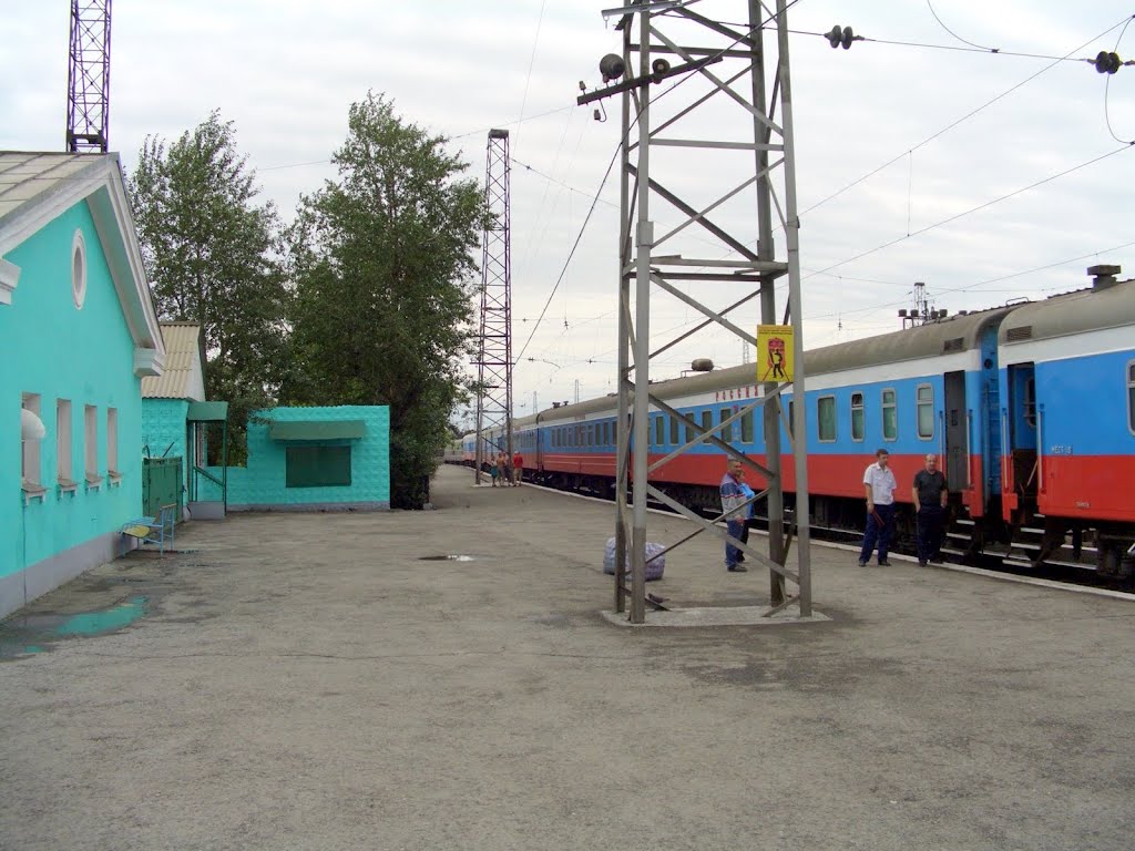 станция Татарская