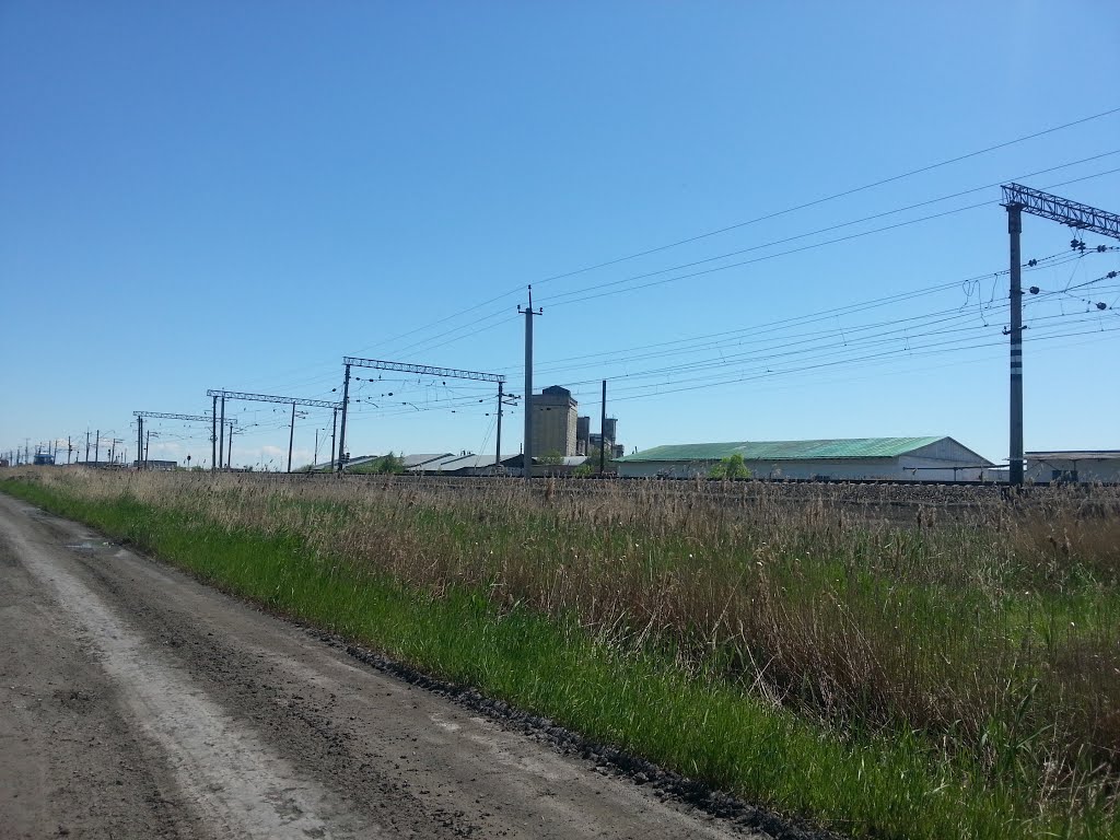 Татарск Элеватор