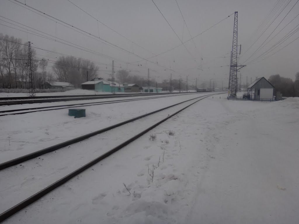 Станция Тогучин, Вид в сторону Новосибирска