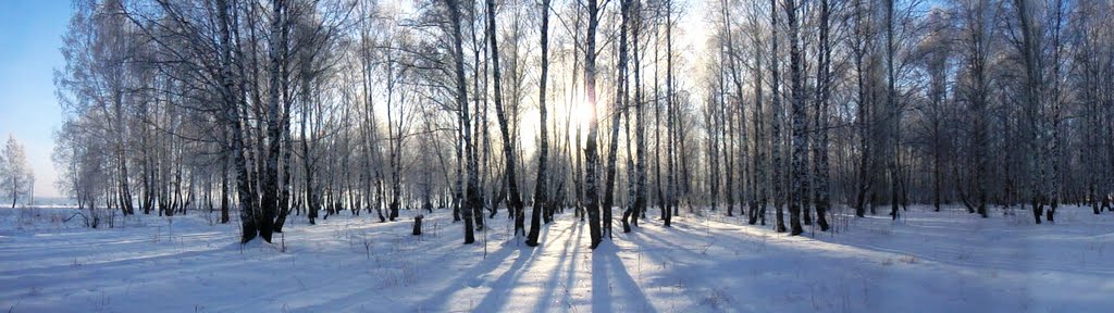 Winter panorama