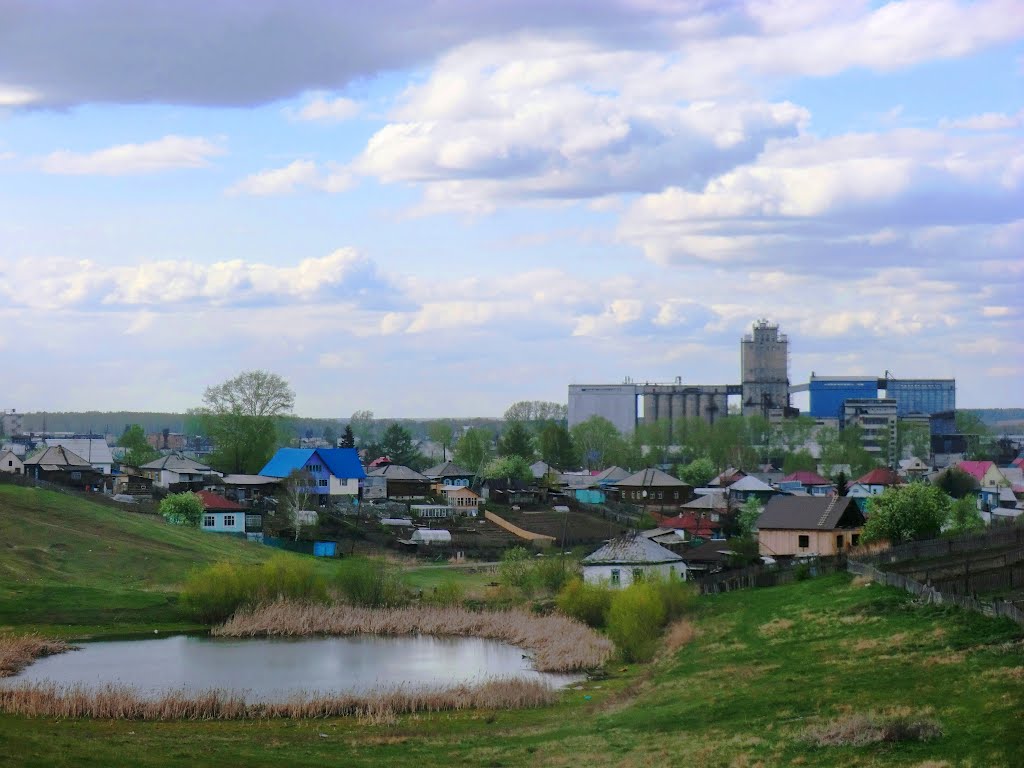 Вид Тогучина с юго-востока