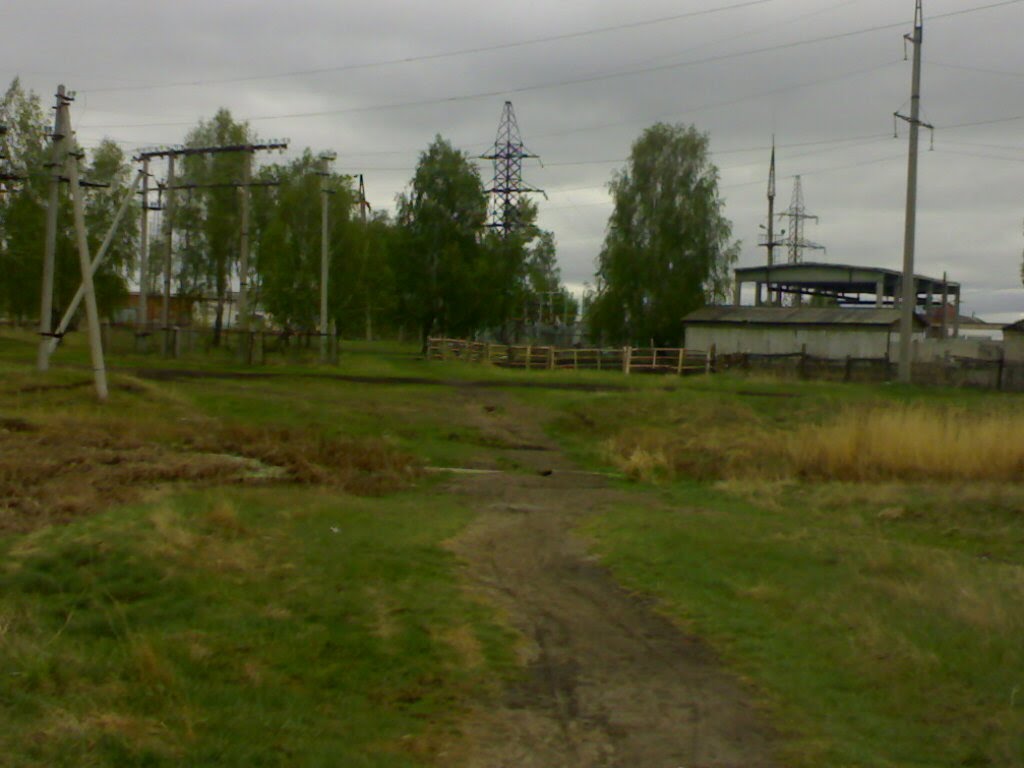 Тропинка