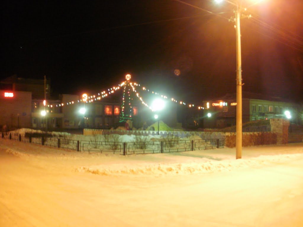 Новый 2011