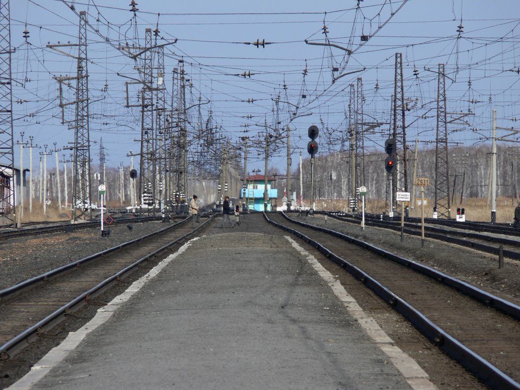 Вид на пути
