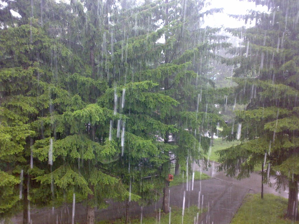 Ливень