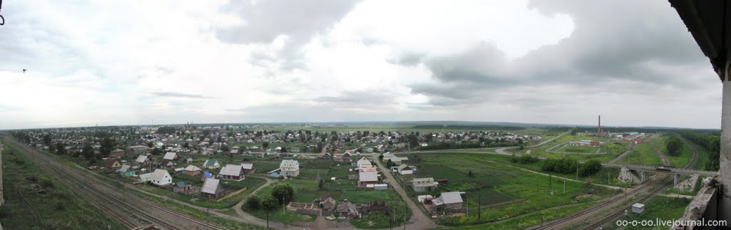 Восточная панорама Черепаново с заброшенного элеватора (лето 2010)