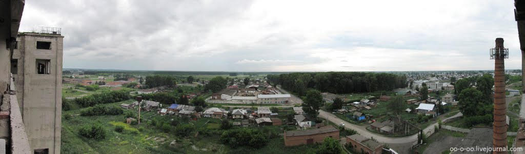 Западная панорама Черепаново с заброшенного элеватора (лето 2010)