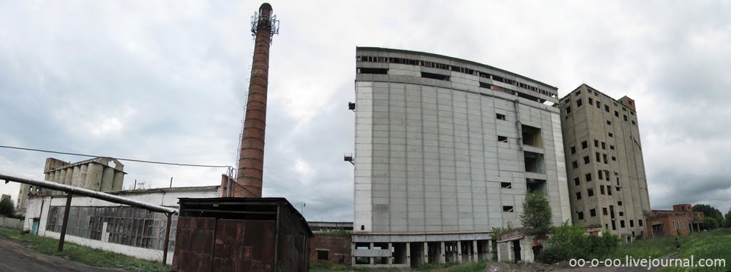 Панорама комплекса заброшенных элеваторов в Черепаново