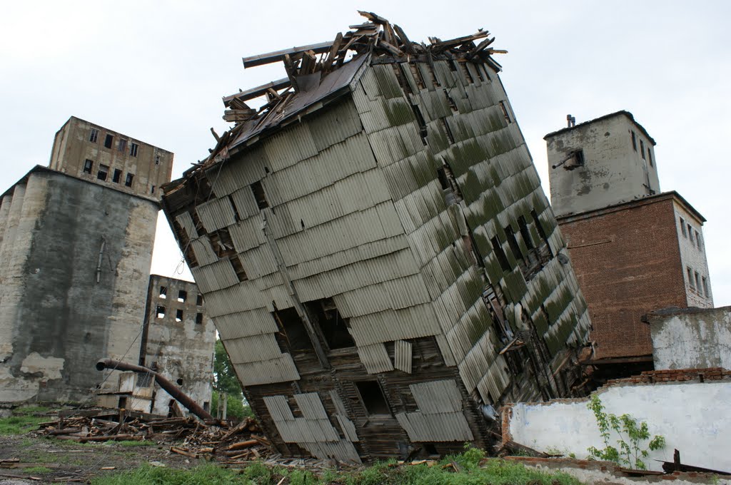 Still standing...