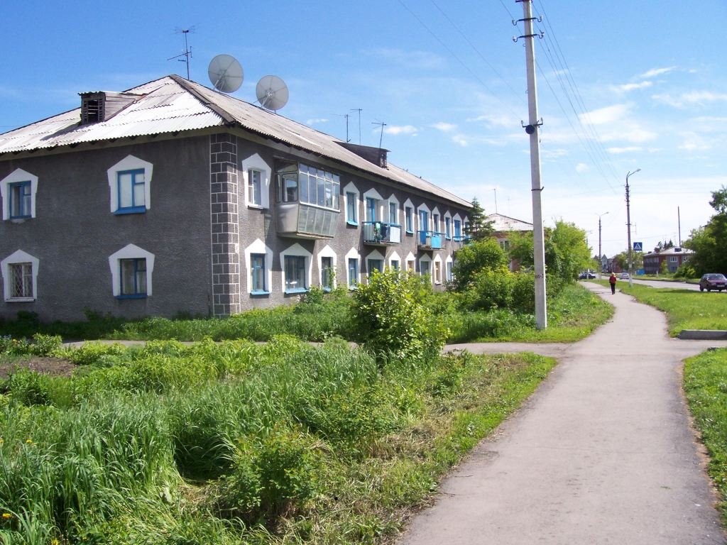 Партизанская