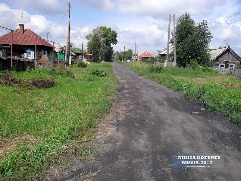 Черепаново, 2011