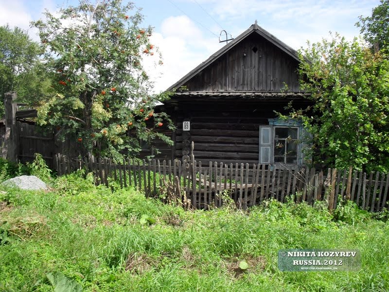 Черепаново, 2011