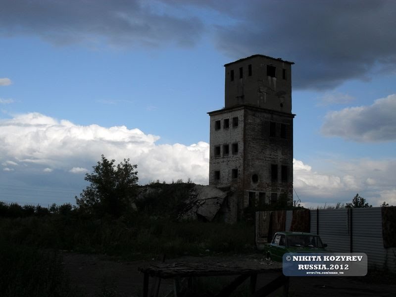 Черепаново, 2011