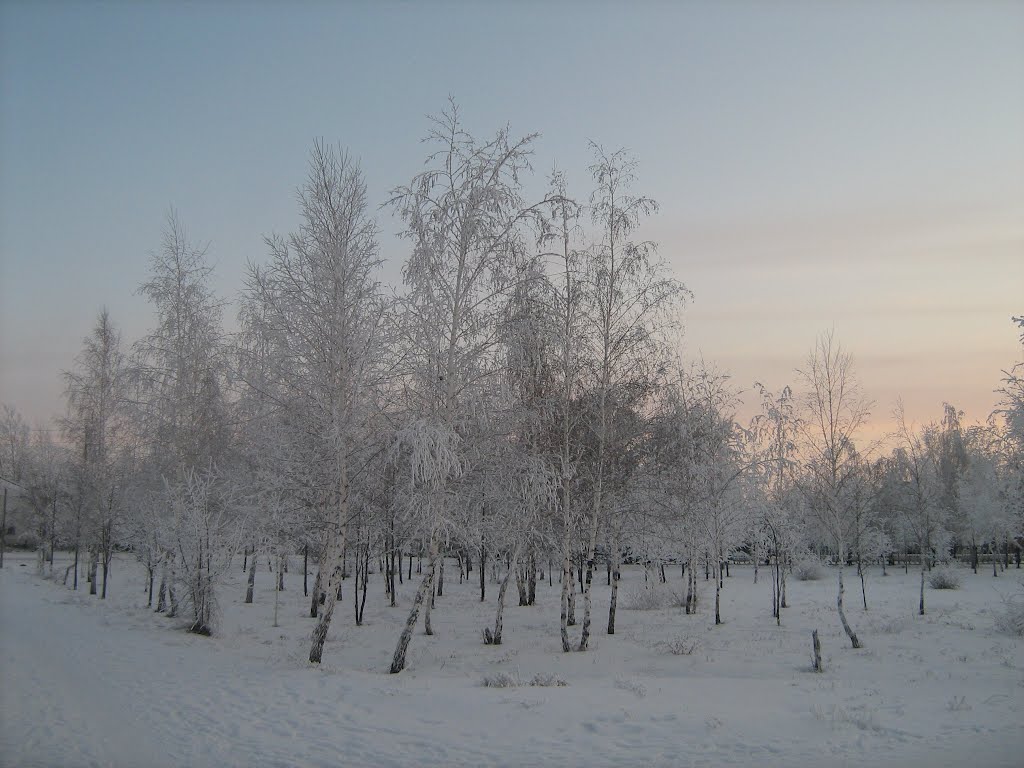 park2
