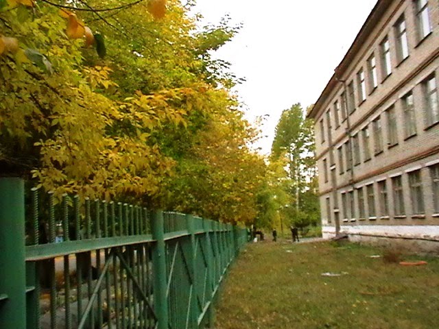 Наша школа