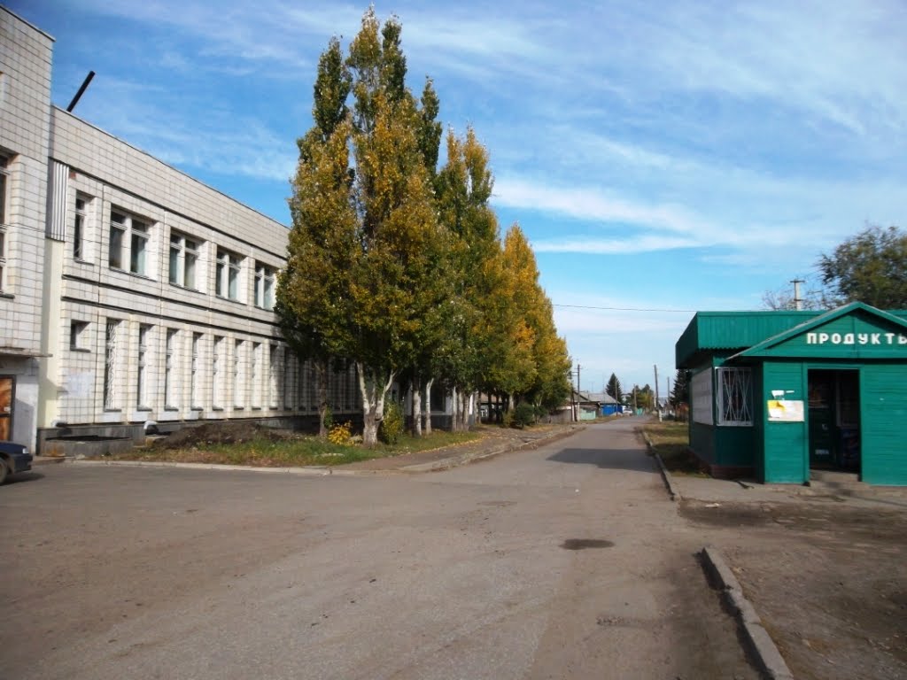 ул. 2 Осенняя, за ДК