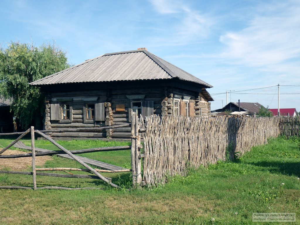 Дом ямщика Копьева, 1790 год, Большеречье. The house of coachman Kopeva, 1790, Village Bigrivers, Omsk area
