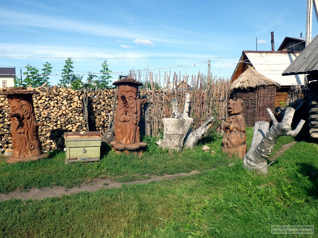 Большеречье, Омская область. Старина сибирская. Olden time Siberian.