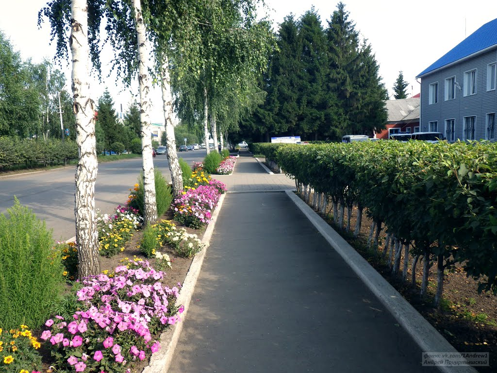 Большеречье, Омская область. Bolshereche, Omsk area.