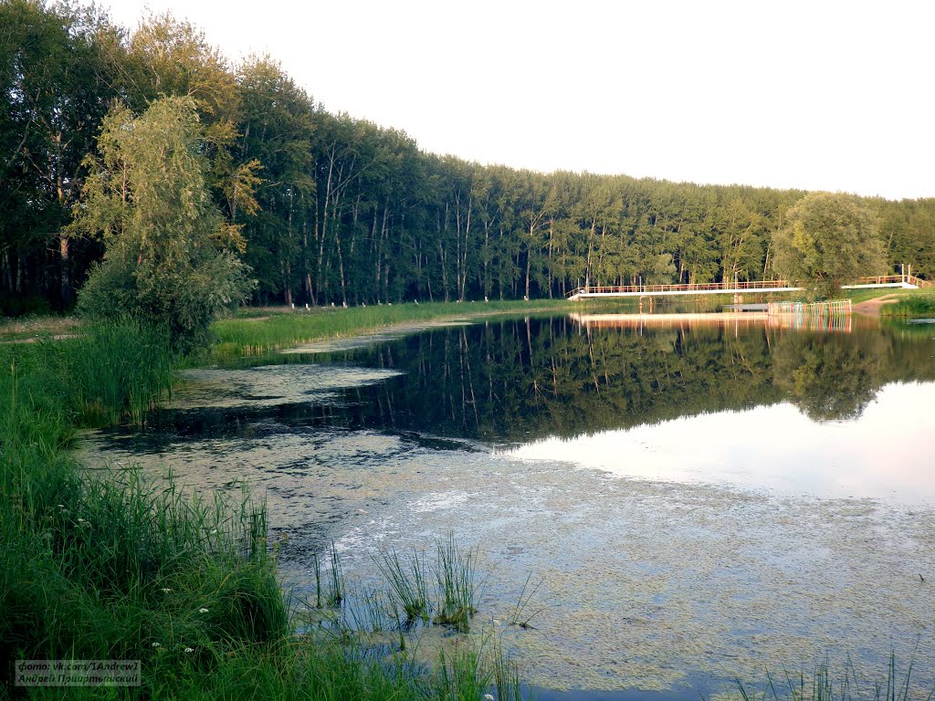 Большеречье, Омская область. Bolshereche, Omsk area.