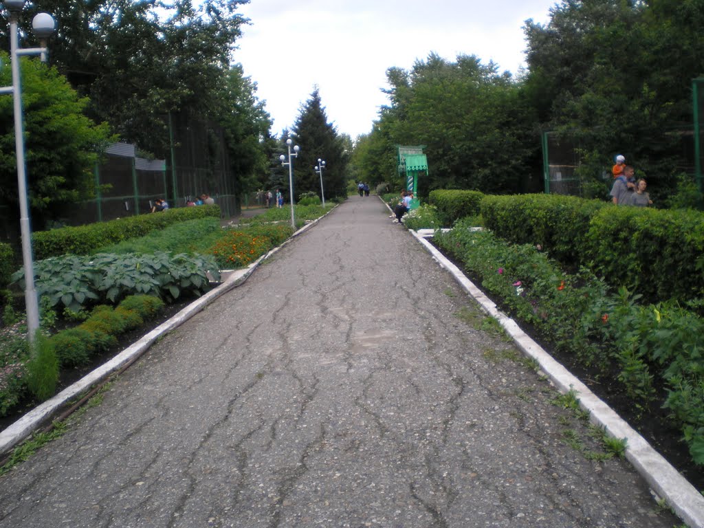 Главная аллея зоопарка