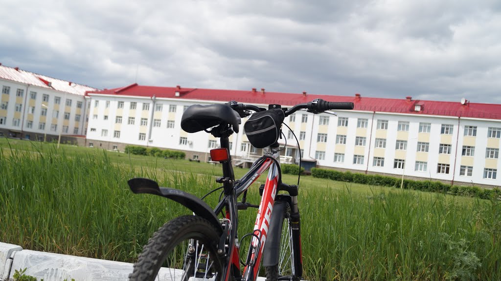 Исилькуль ЦРБ