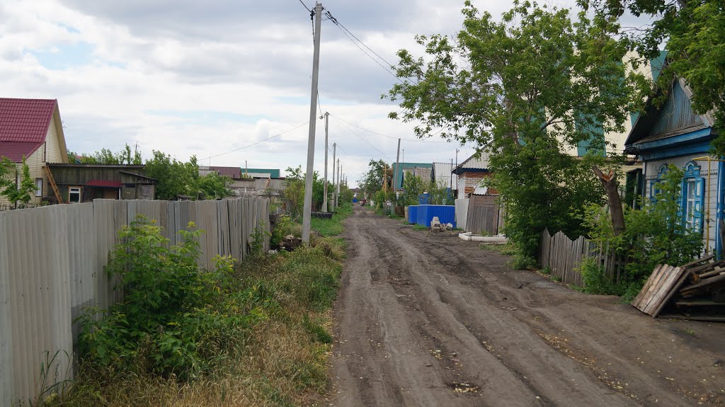 Исилькуль цлица