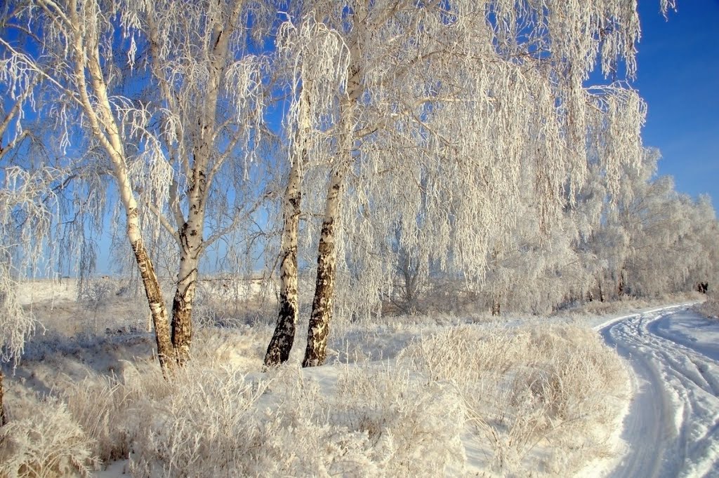 Зима